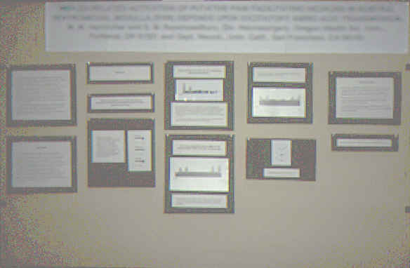 p7.jpg (127724 bytes)